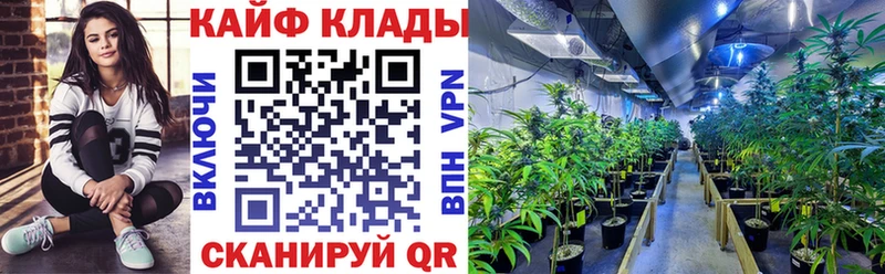 Купить закладку А ПВП  МЕФ  Кодеин  Cocaine  ГАШ  Гороховец