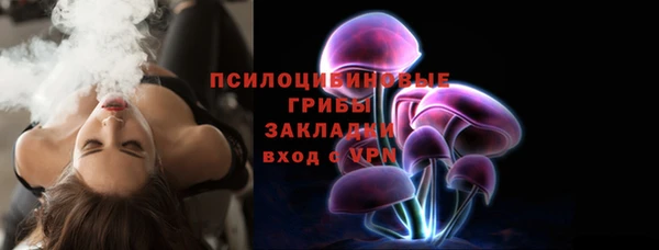 Альфа ПВП Каменка