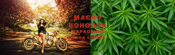 амф Каменногорск