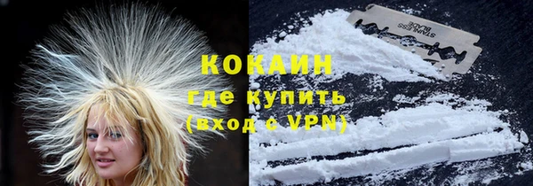 Альфа ПВП Каменка