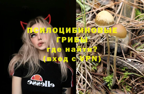 амф Каменногорск