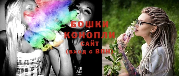 Альфа ПВП Каменка